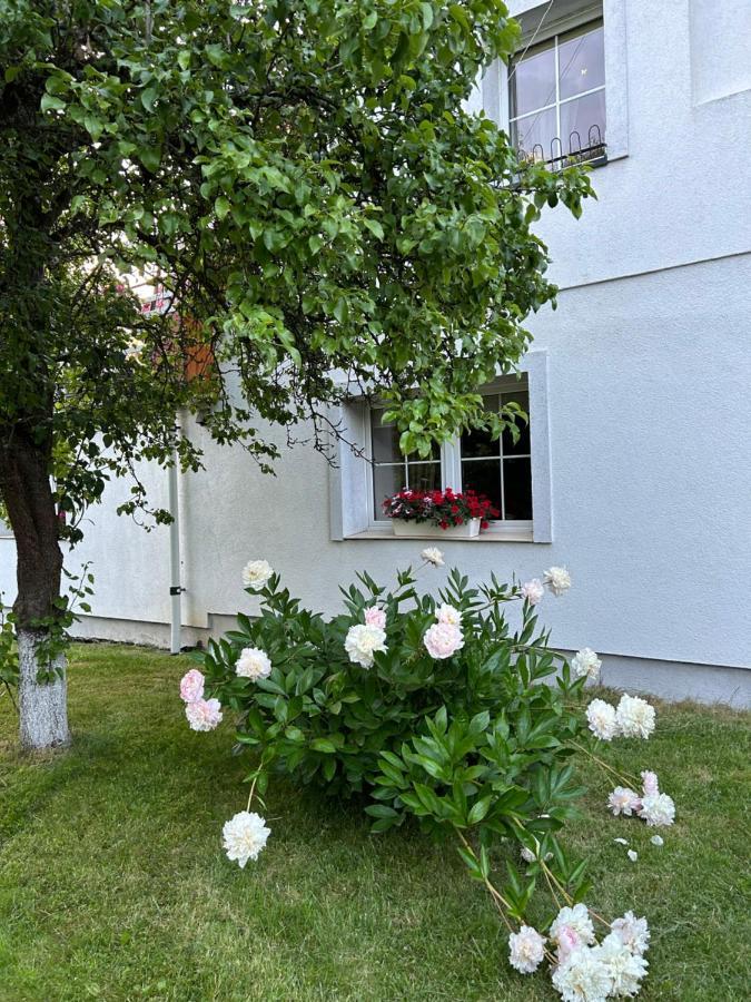 Apartamenty Stokrotka Лёндек-Здруй Экстерьер фото